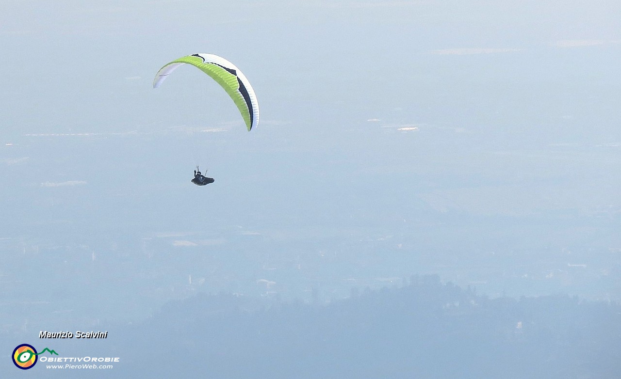 46 In volo col parapendio. Sotto di lui l'ombra dei Colli di Bergamo con San Vigilio....JPG